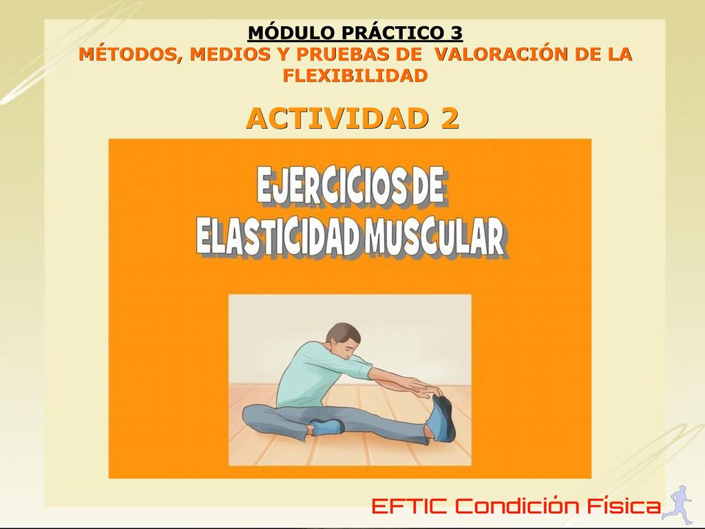 Relacion entre flexibilidad elasticidad y fuerza muscular